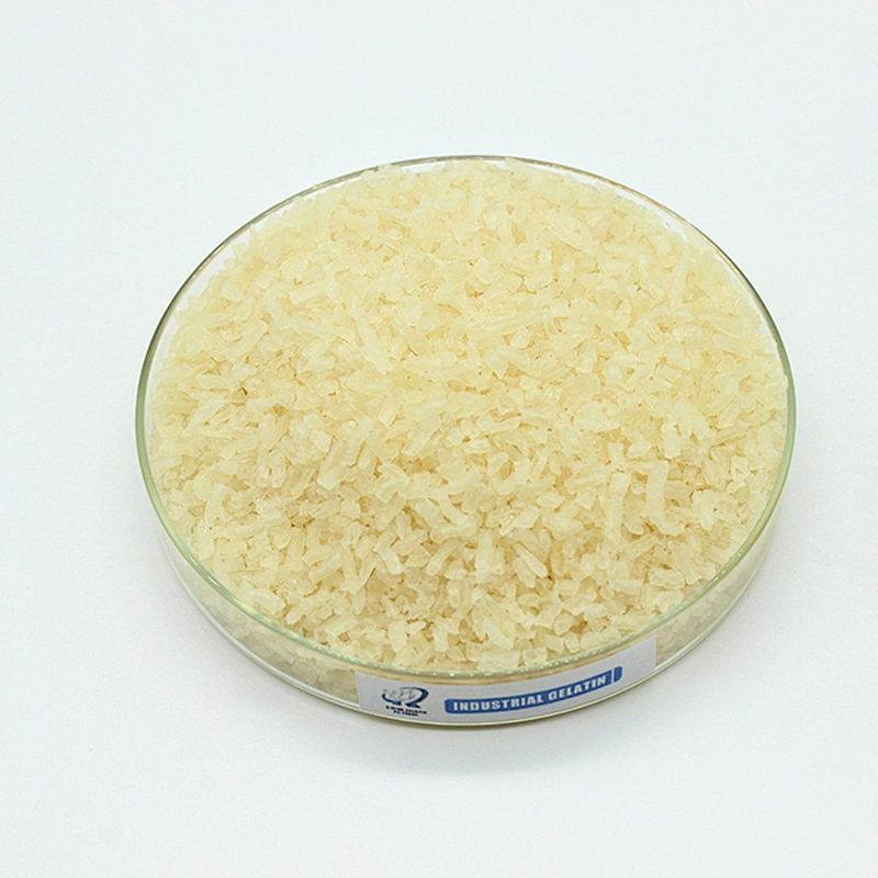 food analysis hemp protein soy protein isolate pectin